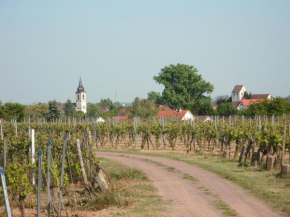 Ferienwohnung Südpfalz